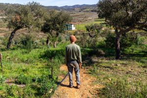 wild forest garden