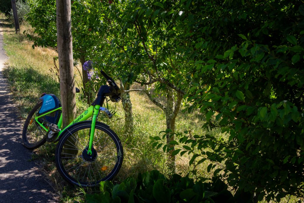 bike