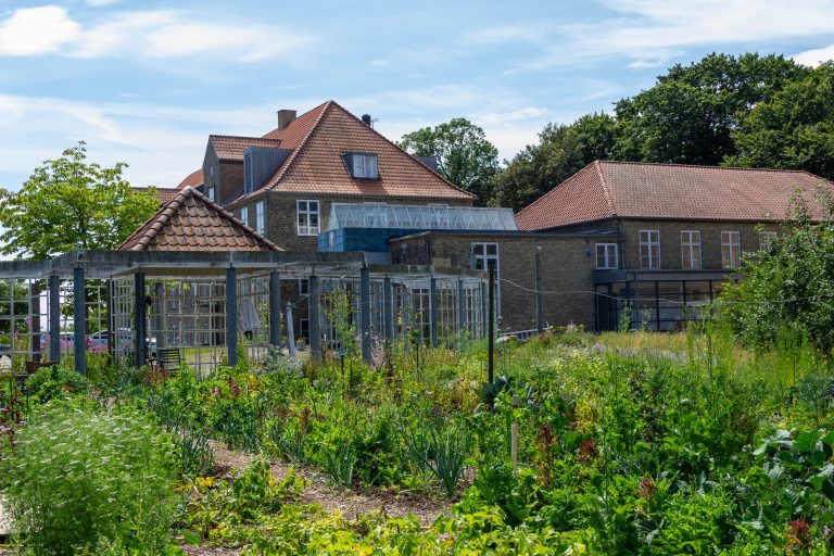 Avno Oasis Denmark