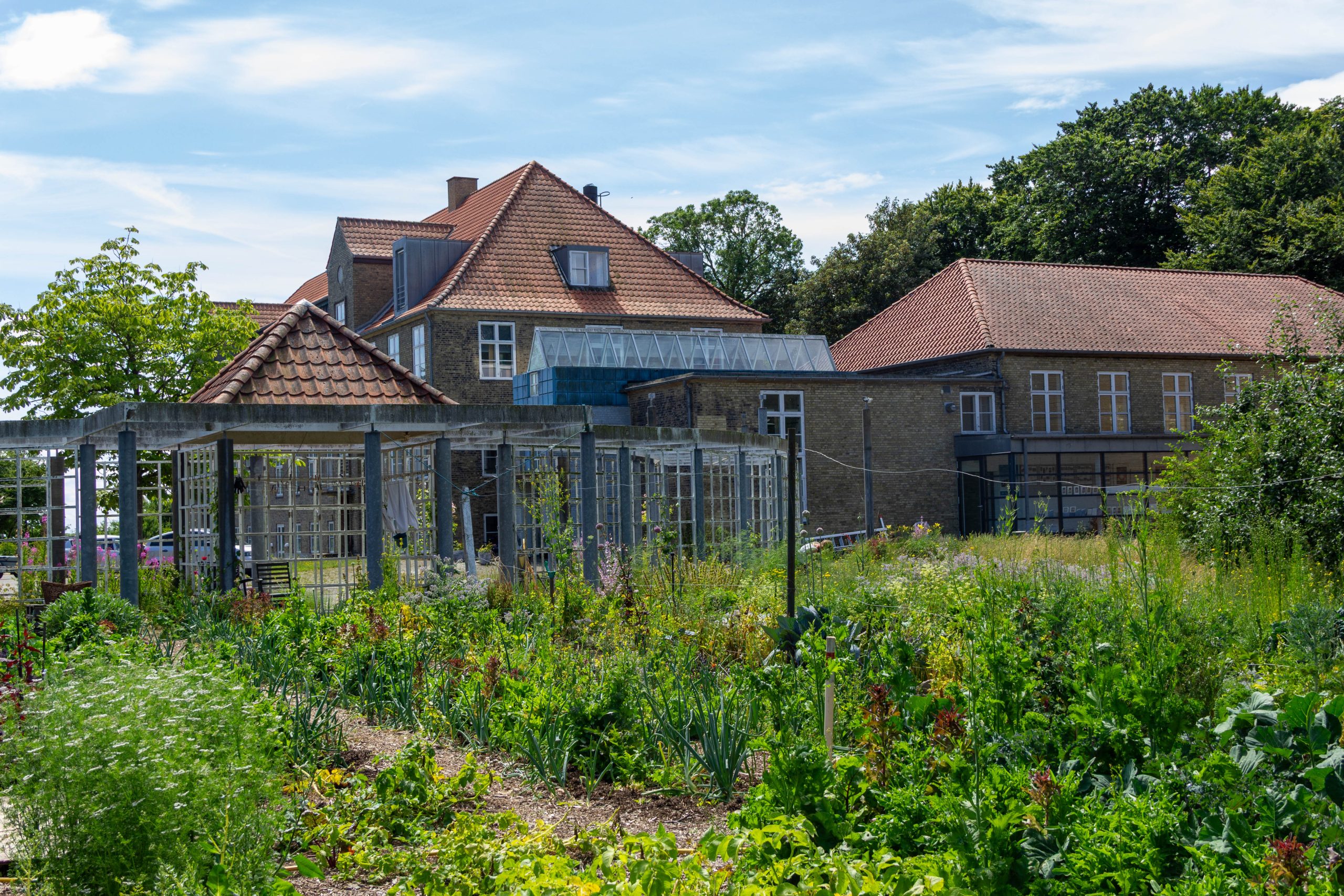 Avno Oasis Denmark