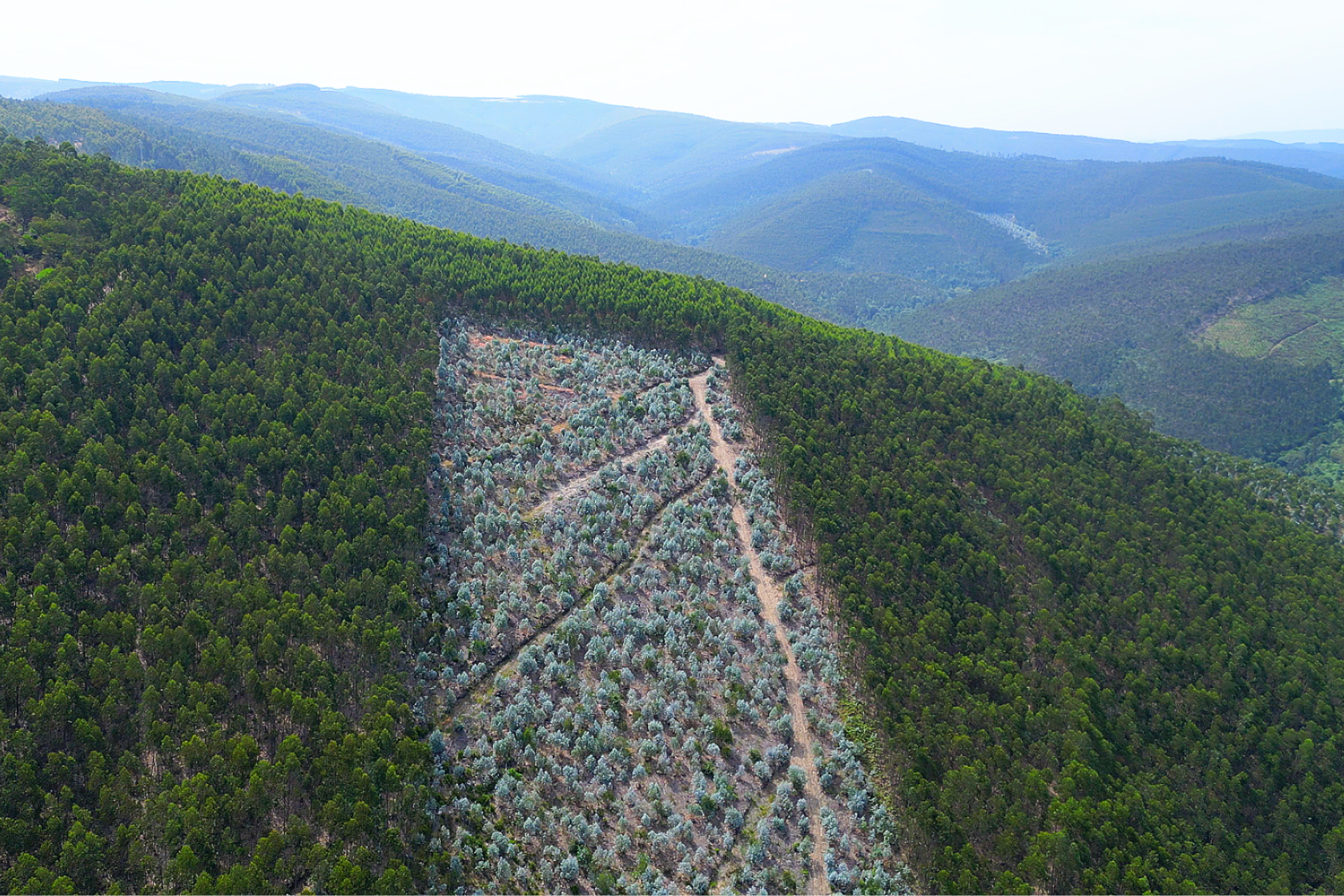 cabeço santo