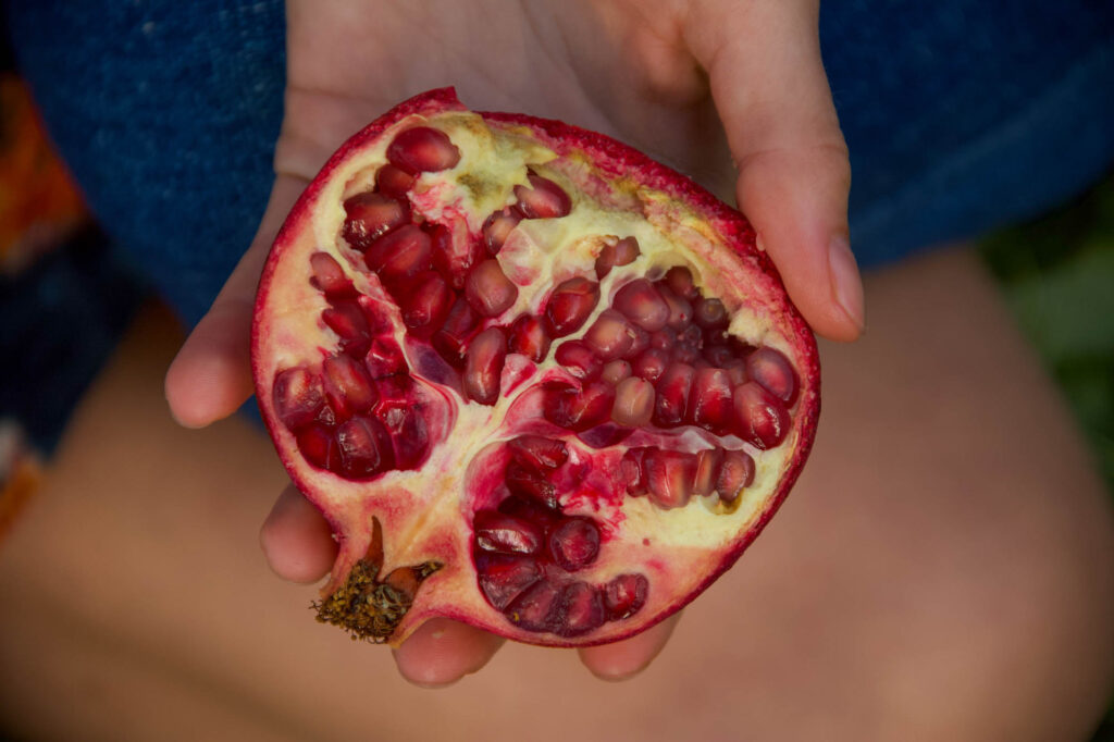 Hand holding a sliced pomegranate